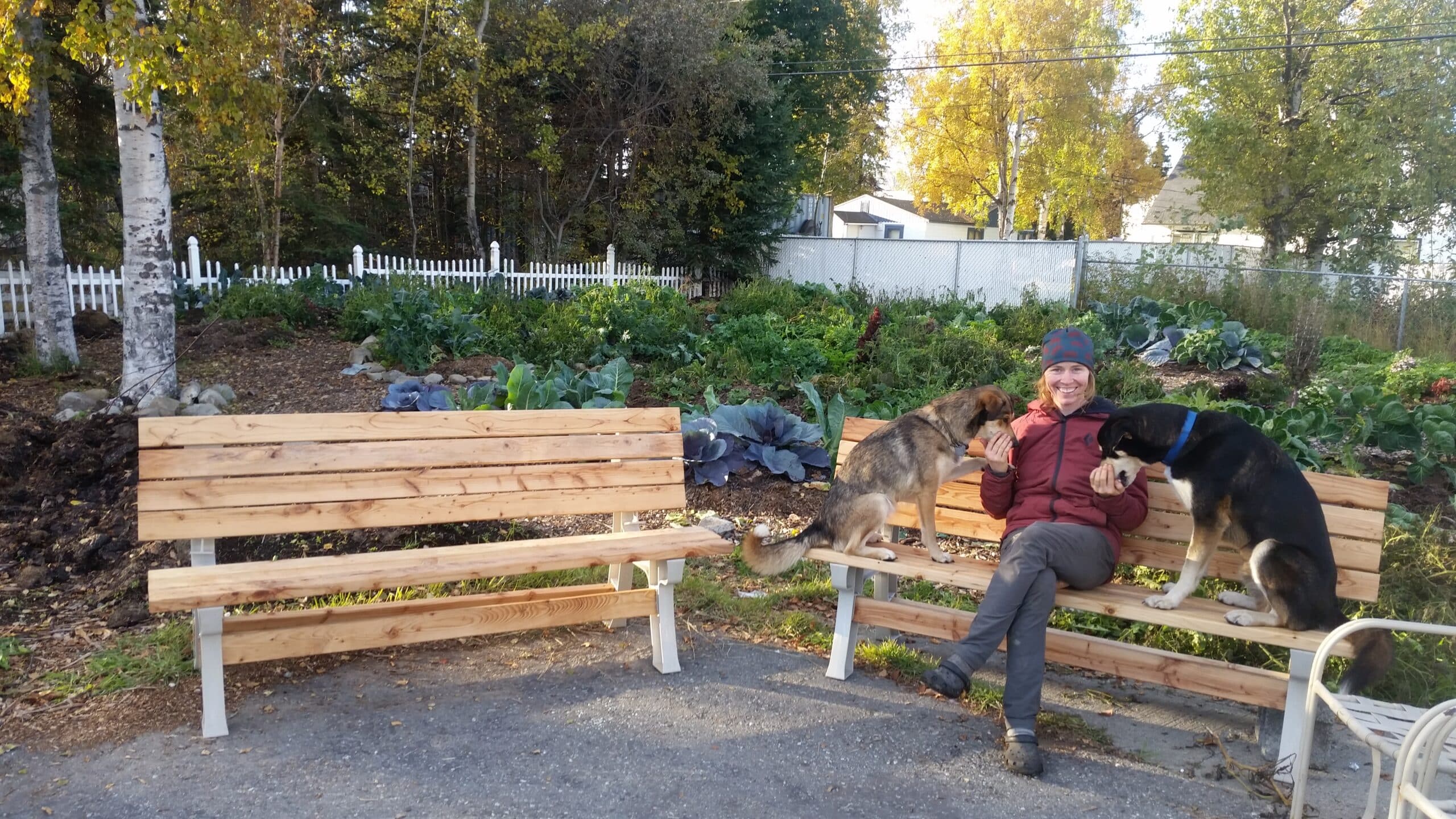 Spenard Community Garden_New Benches